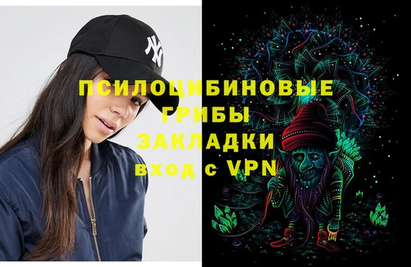молекула духа Белоозёрский