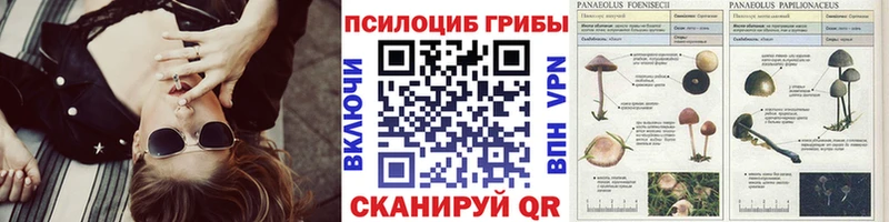 Галлюциногенные грибы GOLDEN TEACHER  Саяногорск 